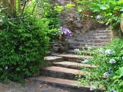 183 D23 BORMES LES MIMOSAS 1_000026